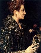 ANGUISSOLA  Sofonisba Profile Portrait of a Young Woman USA oil painting artist